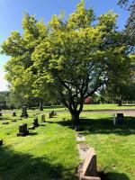 Fir Lawn Memorial Park & Funeral Home image 15